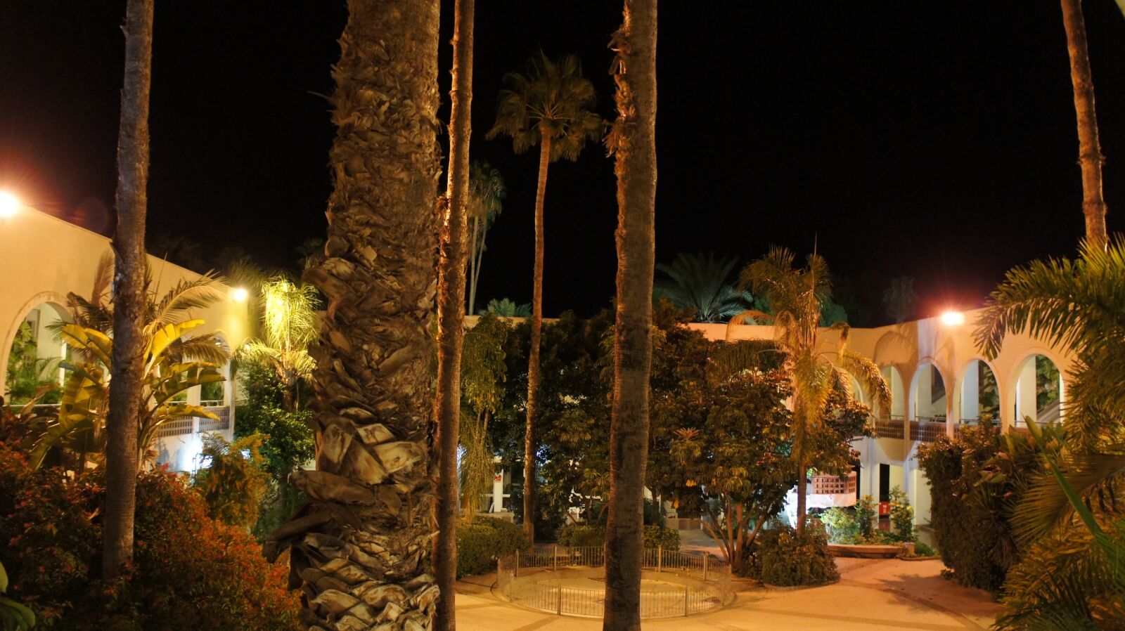 Sony Alpha NEX-3 + Sony E 18-55mm F3.5-5.6 OSS sample photo. Israel, night, dark photography