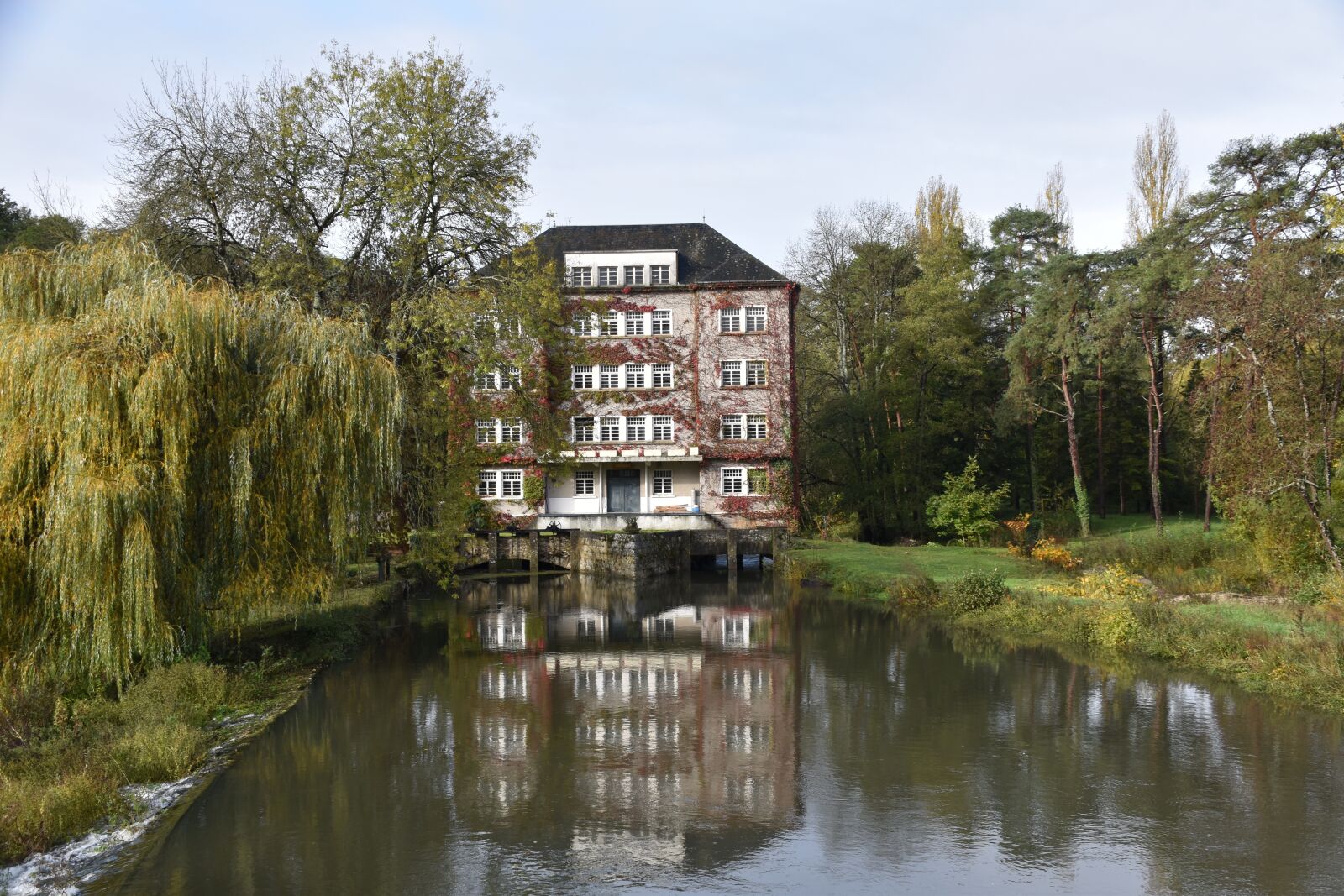 Nikon D5600 sample photo. Old mill, remains, housing photography