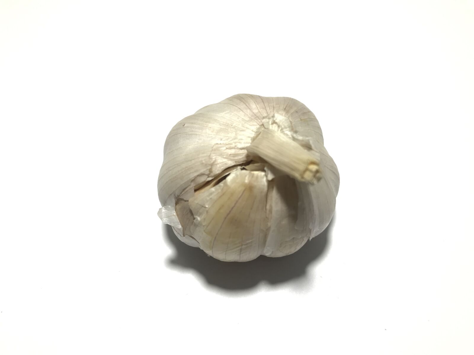 iPhone 7 back camera 3.99mm f/1.8 sample photo. Garlic, isolated, white photography
