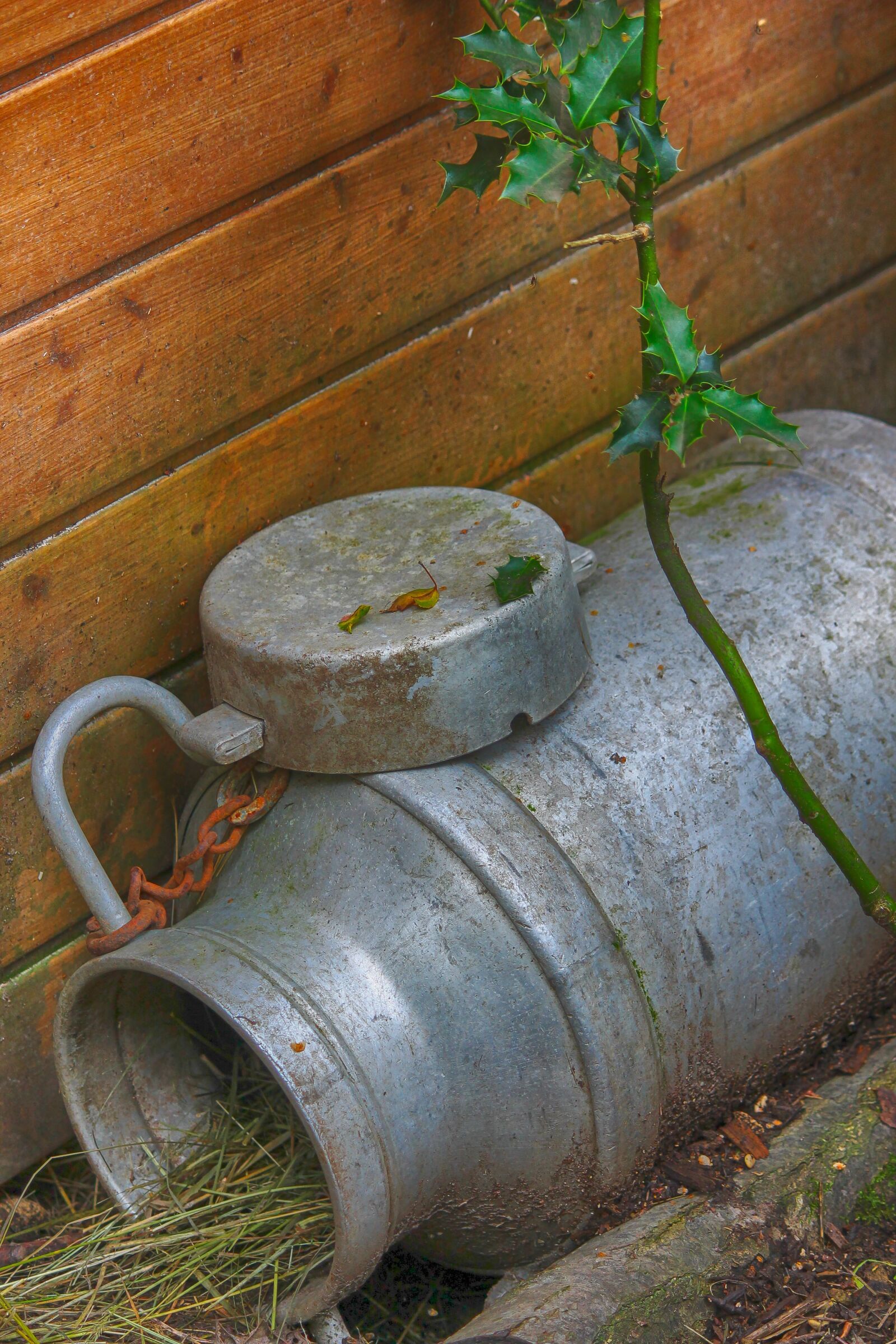 Canon EOS 1100D (EOS Rebel T3 / EOS Kiss X50) sample photo. Pot-in-milk, pot, milk photography