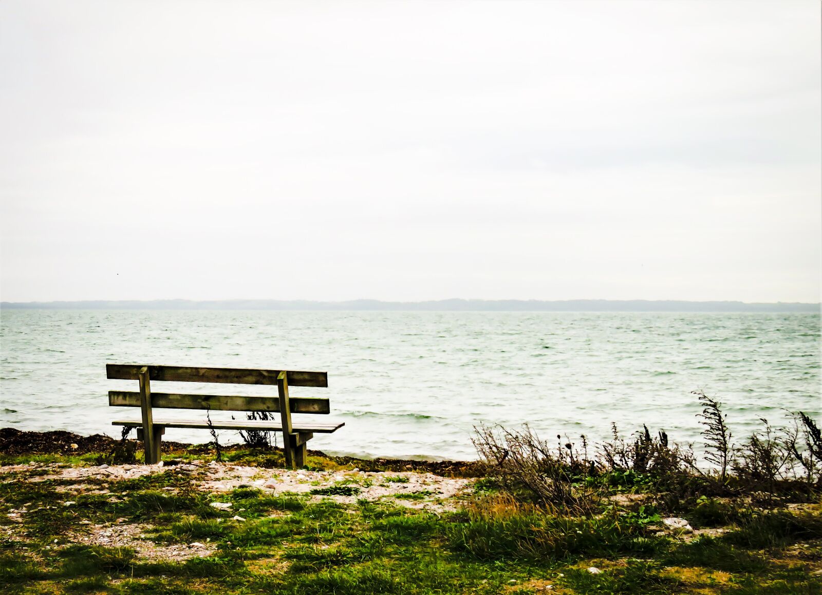 Canon PowerShot SX710 HS sample photo. Sea, baltic sea, bank photography
