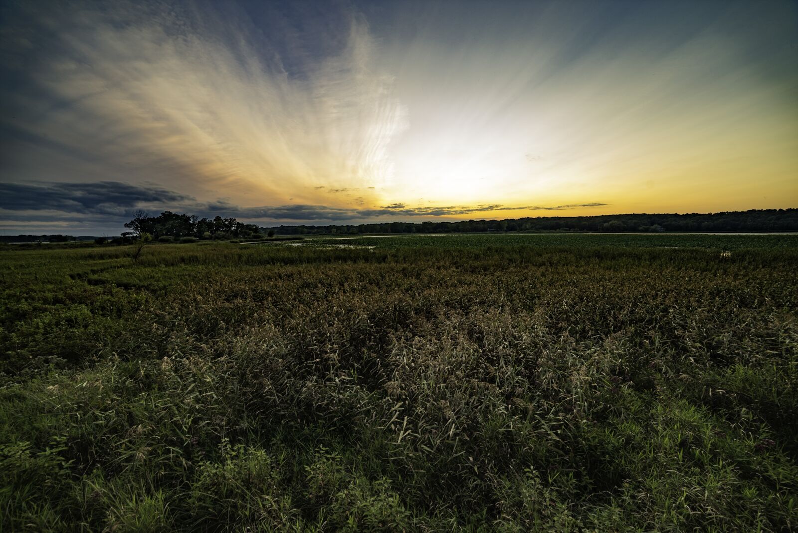 Nikon D750 sample photo. Sunset, sky, dramatic photography