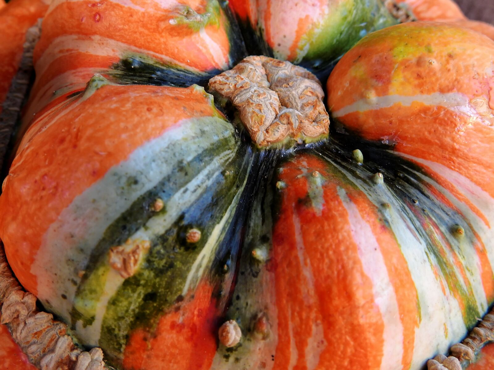 Nikon Coolpix P900 sample photo. Pumpkin, gourd, autumn photography