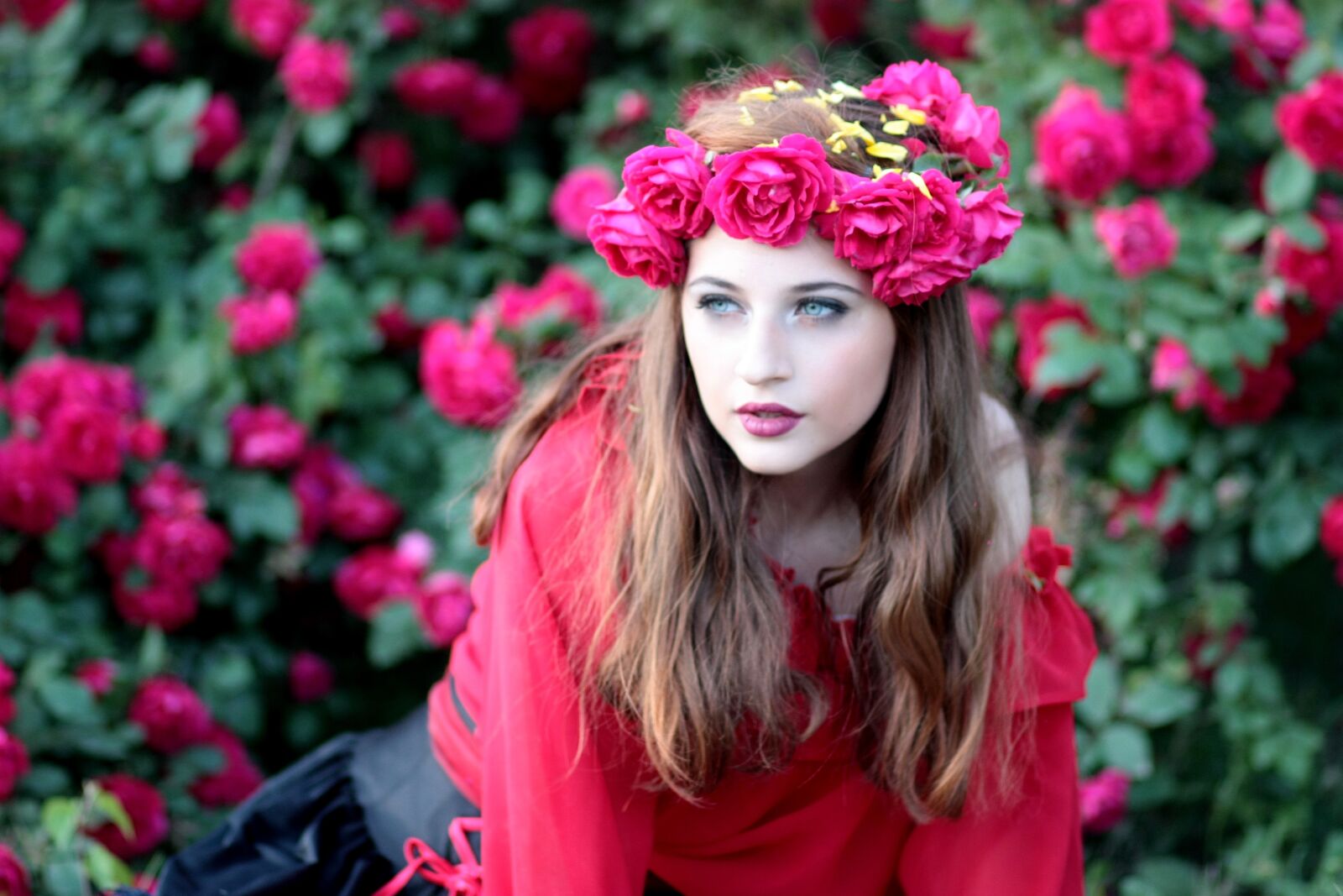Canon EOS 450D (EOS Rebel XSi / EOS Kiss X2) sample photo. Girl, roses, red photography