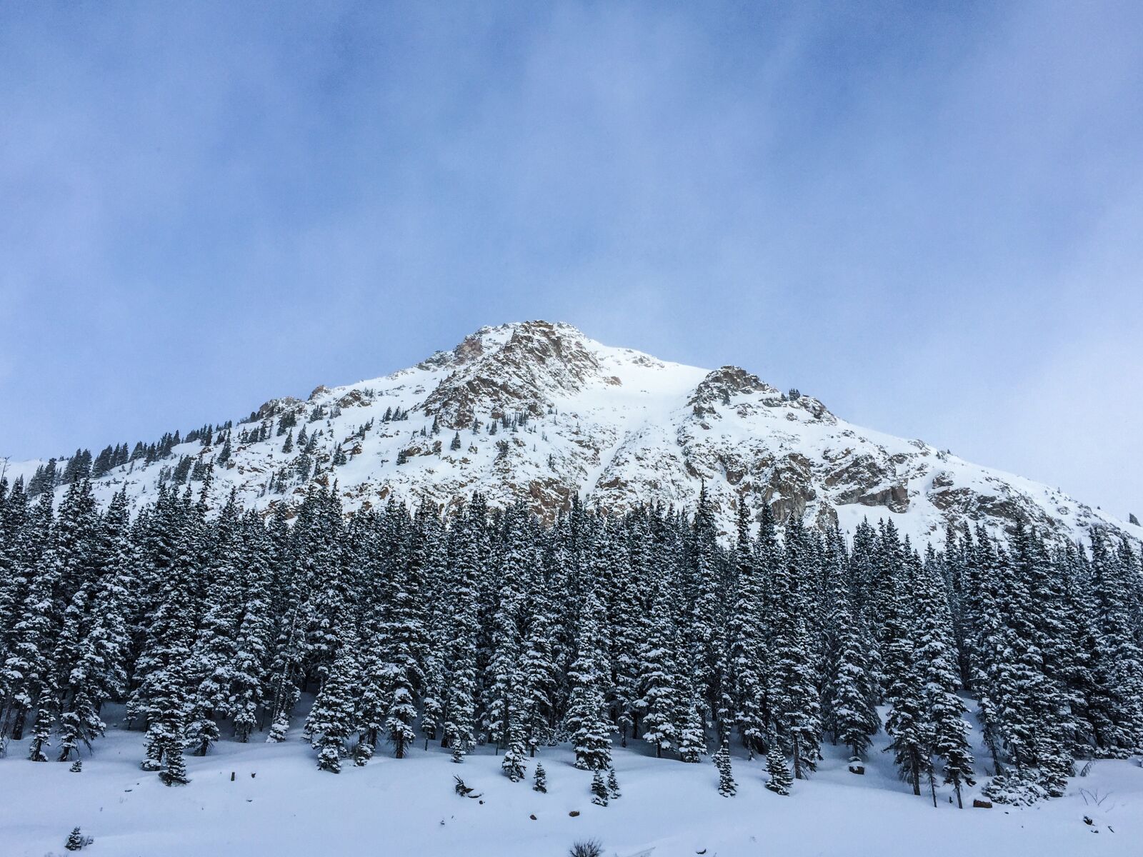Apple iPhone 6 sample photo. Mountains, trees, forest photography