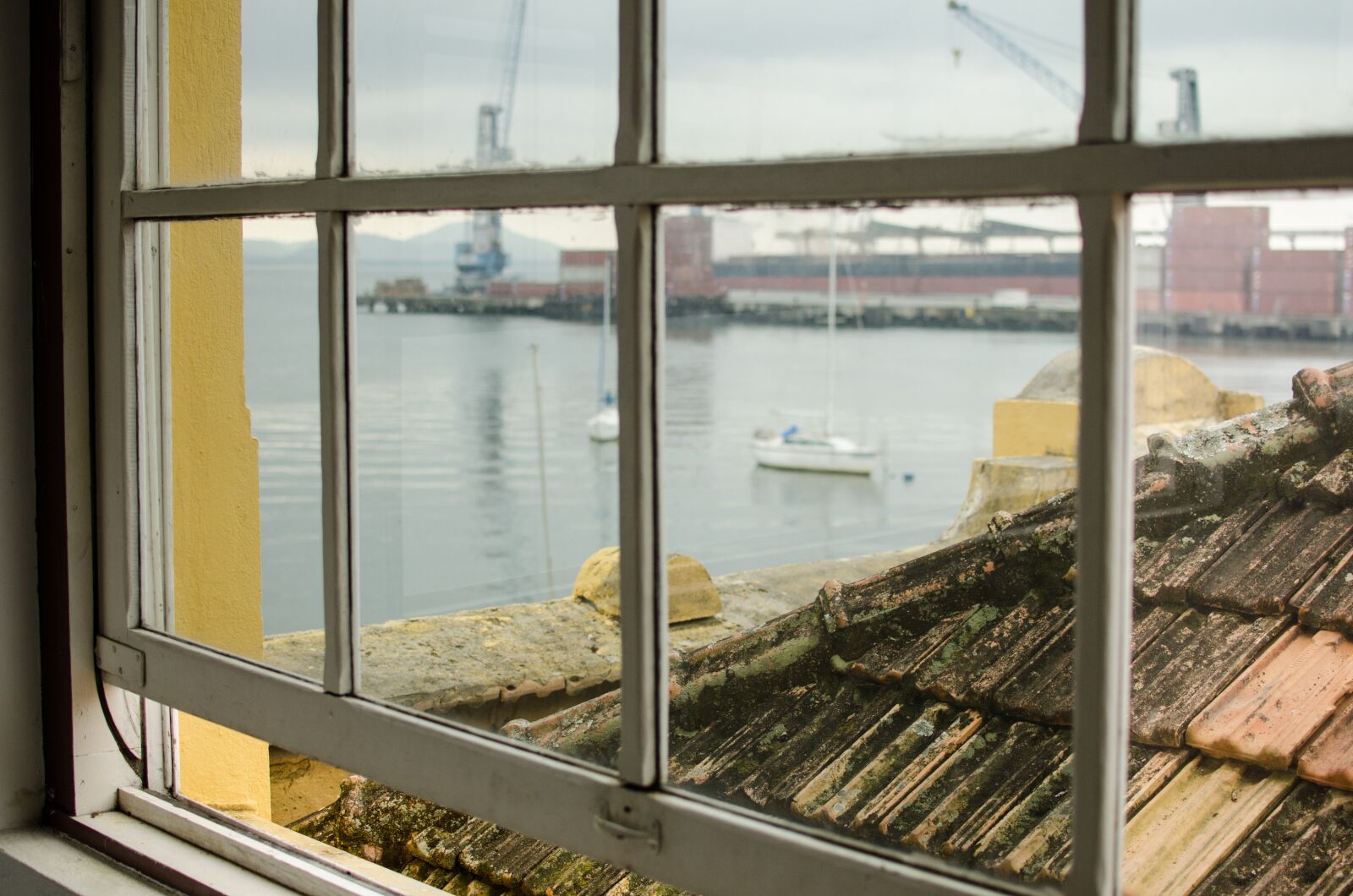 Nikon D7000 sample photo. South san francisco, window photography