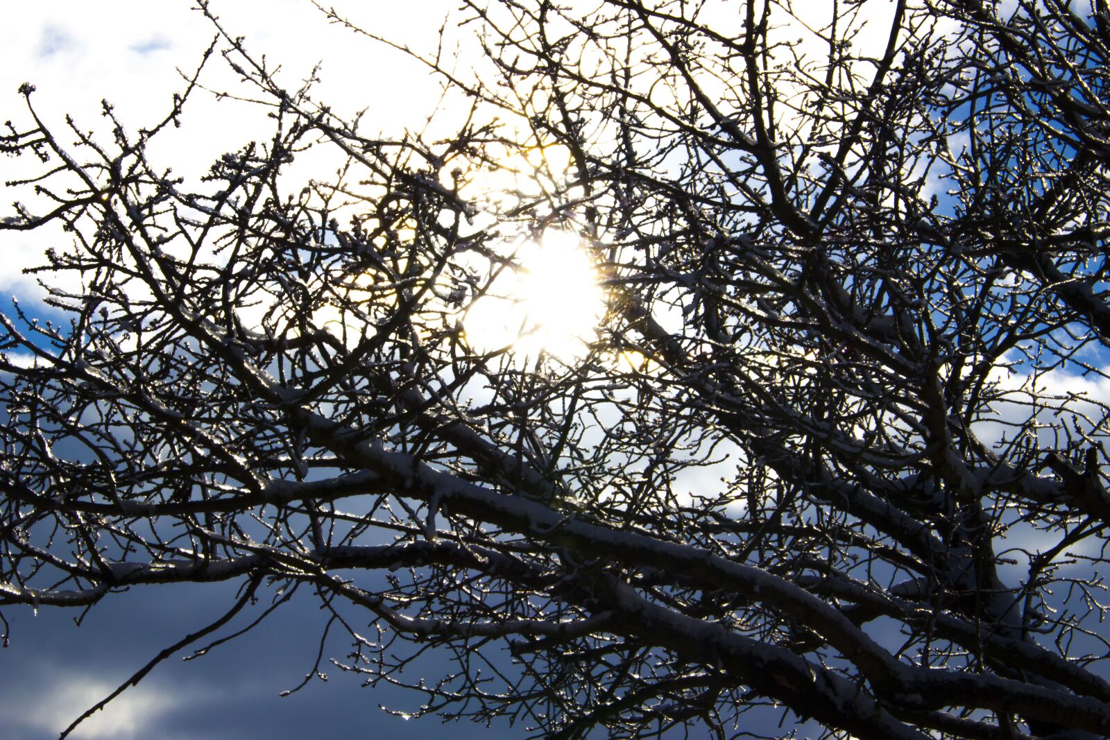 Canon EOS 100D (EOS Rebel SL1 / EOS Kiss X7) sample photo. Sun, ice, snow photography