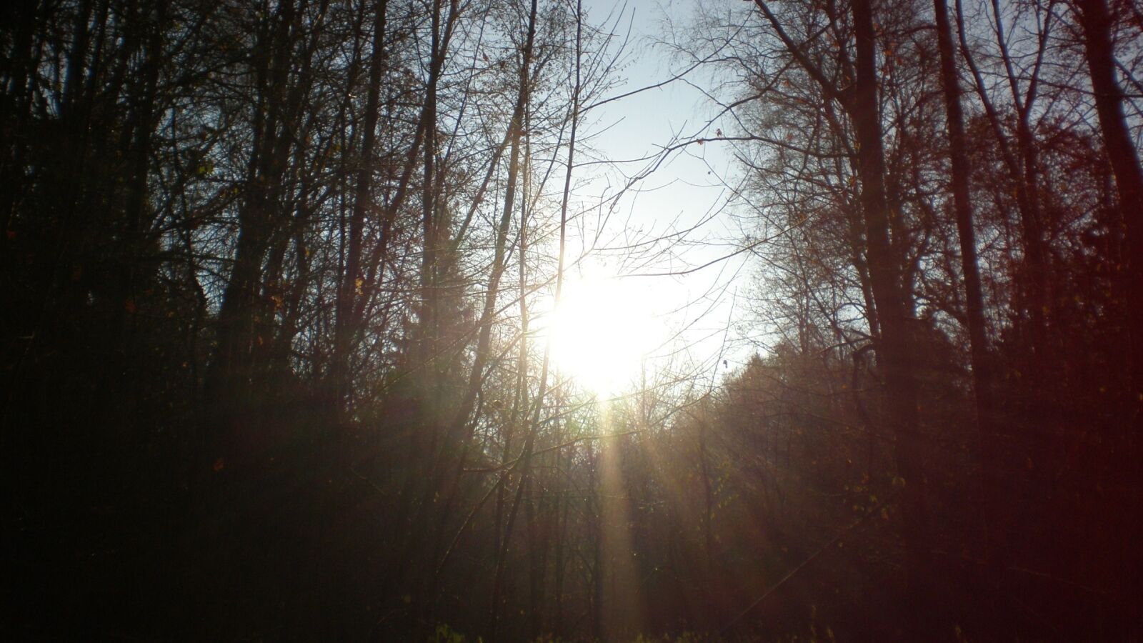 Olympus FE230/X790 sample photo. Nature, rays, sun photography