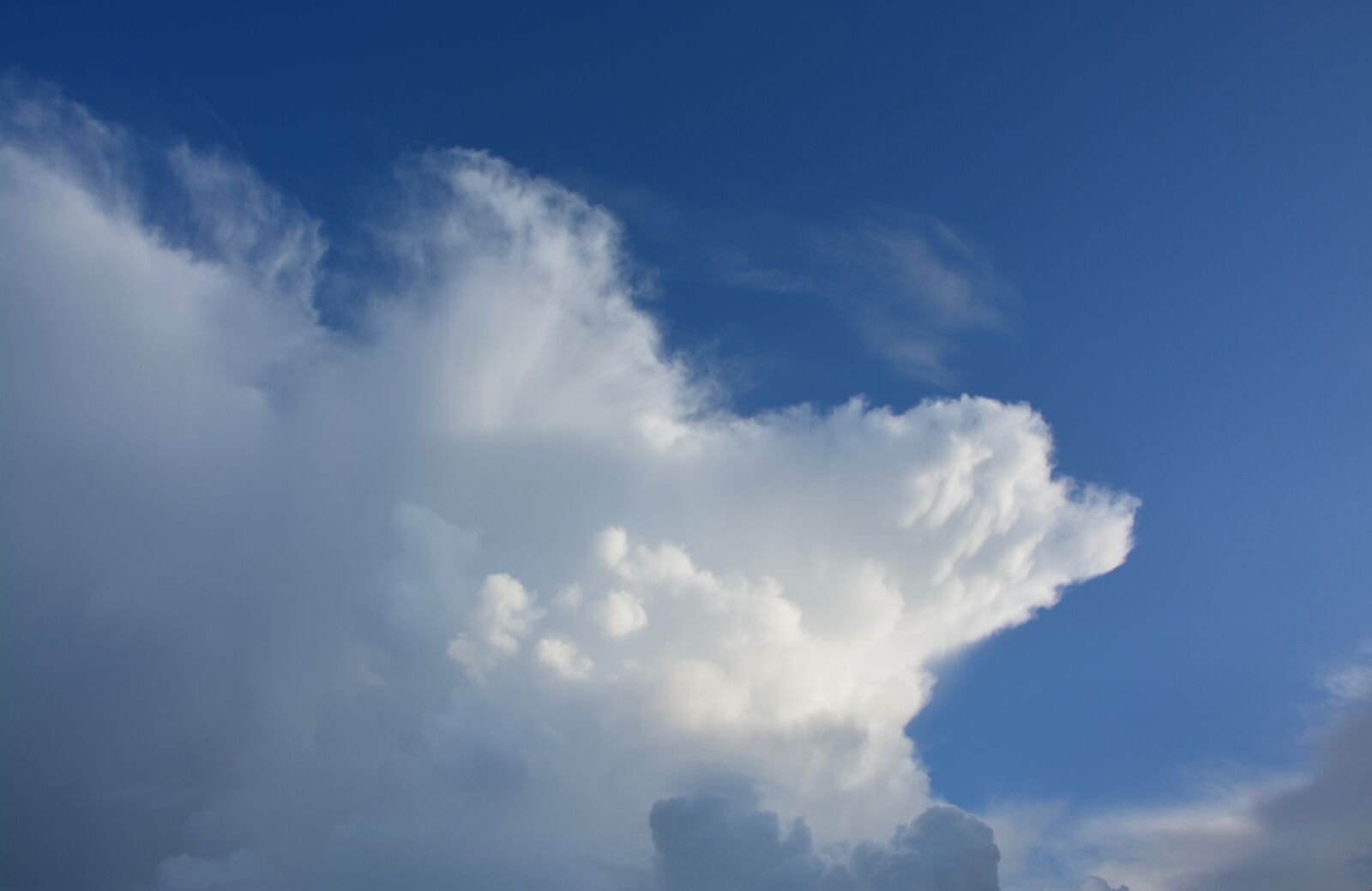 Nikon D5200 sample photo. White cloud, white clouds photography