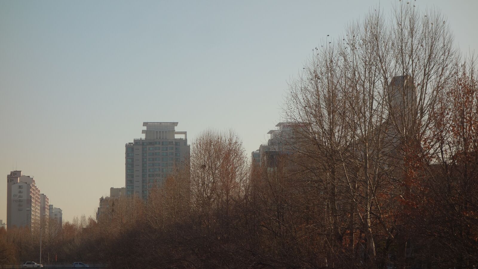 Sony Cyber-shot DSC-RX100 sample photo. South korea, tree, building photography