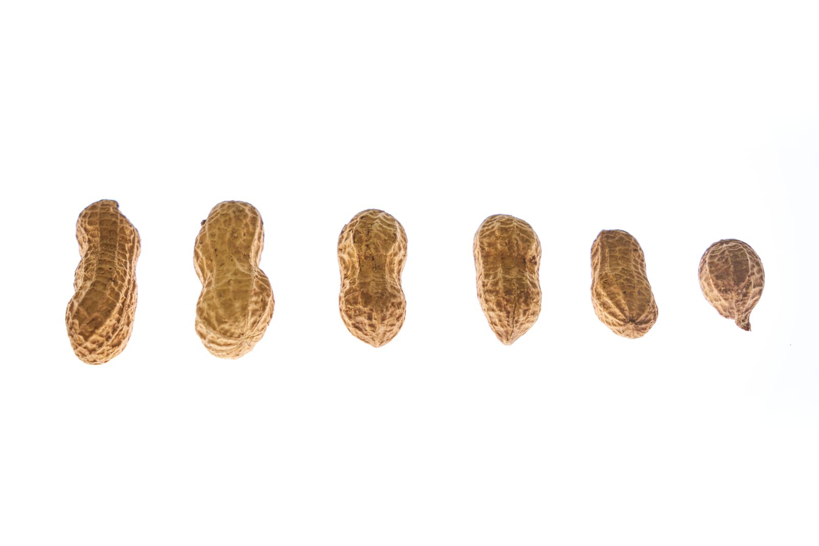 Sony a7R II sample photo. Peanut, peanuts, shelled photography