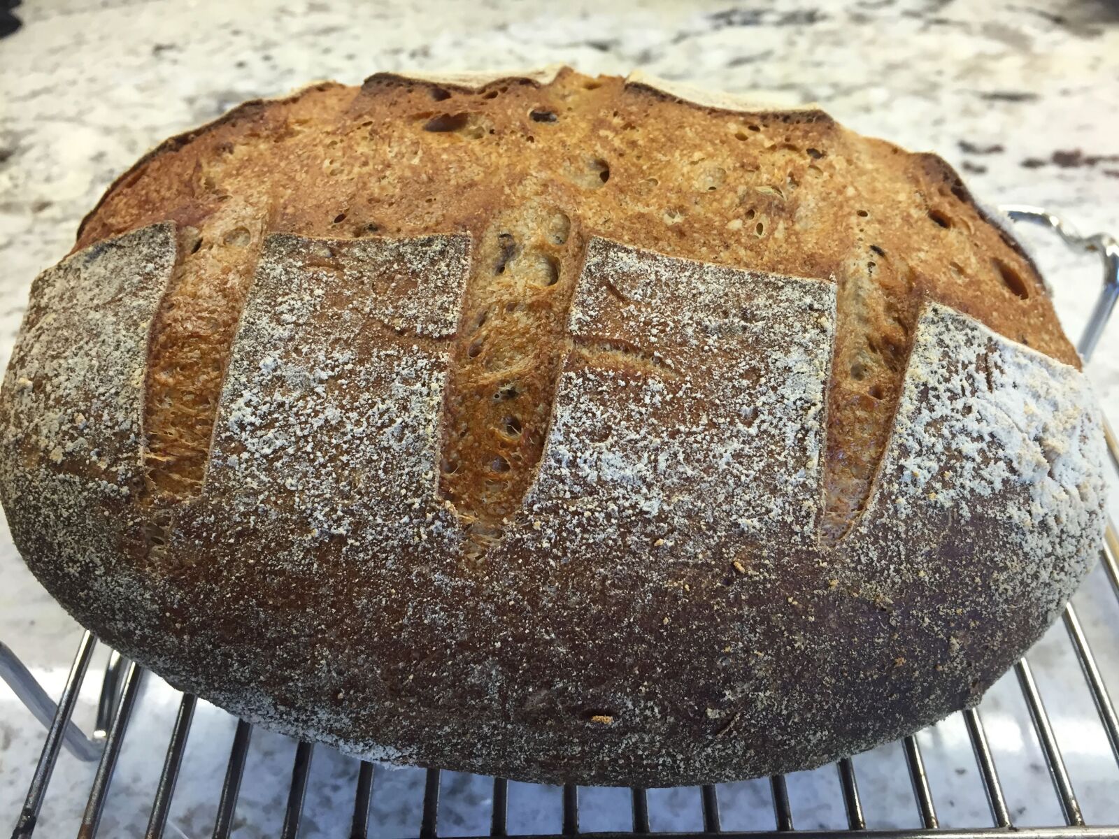 iPhone 6 back camera 4.15mm f/2.2 sample photo. Homemade, bread, sourdough, loaf photography
