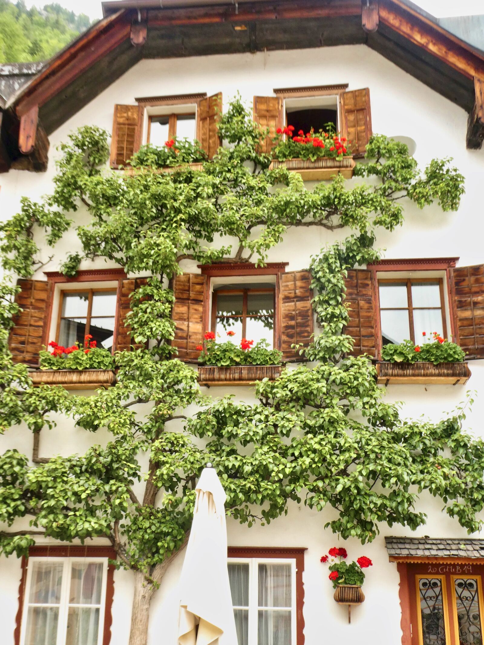 Panasonic Lumix DC-ZS70 (Lumix DC-TZ90) sample photo. Espalier, facade, building photography