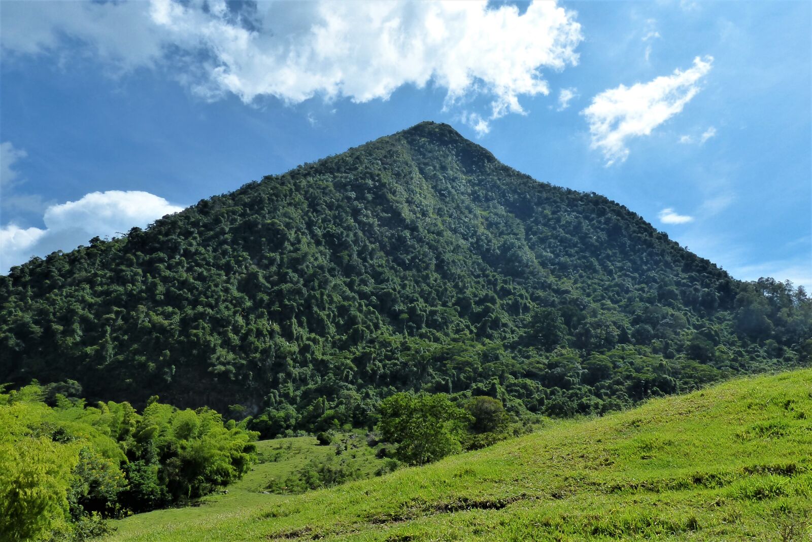 Panasonic Lumix DMC-FZ200 sample photo. Mountain, cerro tusa, venice photography