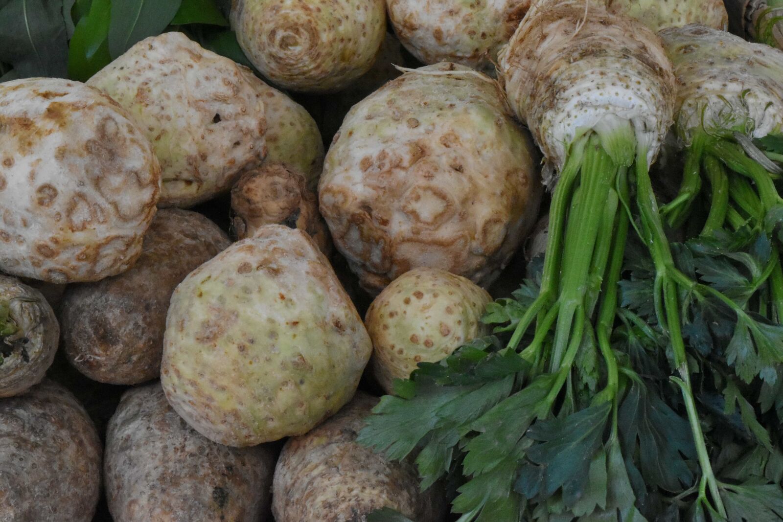 Nikon D5500 sample photo. Organic, vegetable, produce, healthy photography