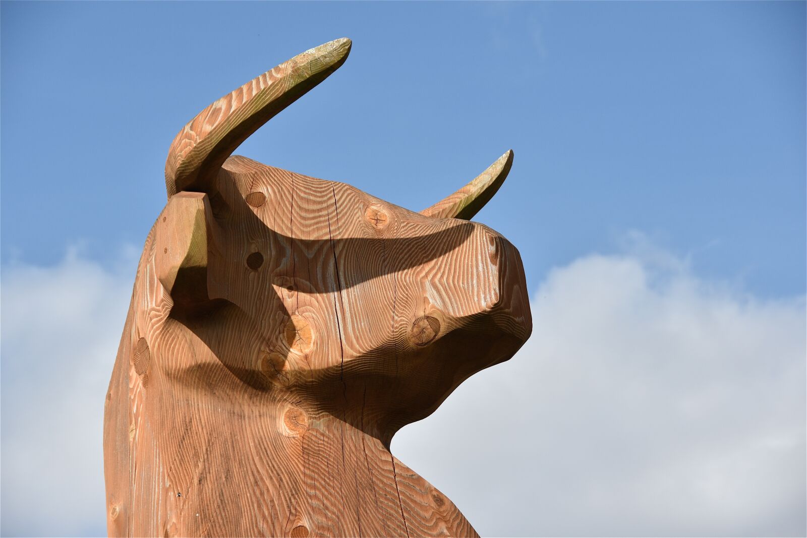 Nikon D5600 sample photo. Cow, bull, sculpture photography