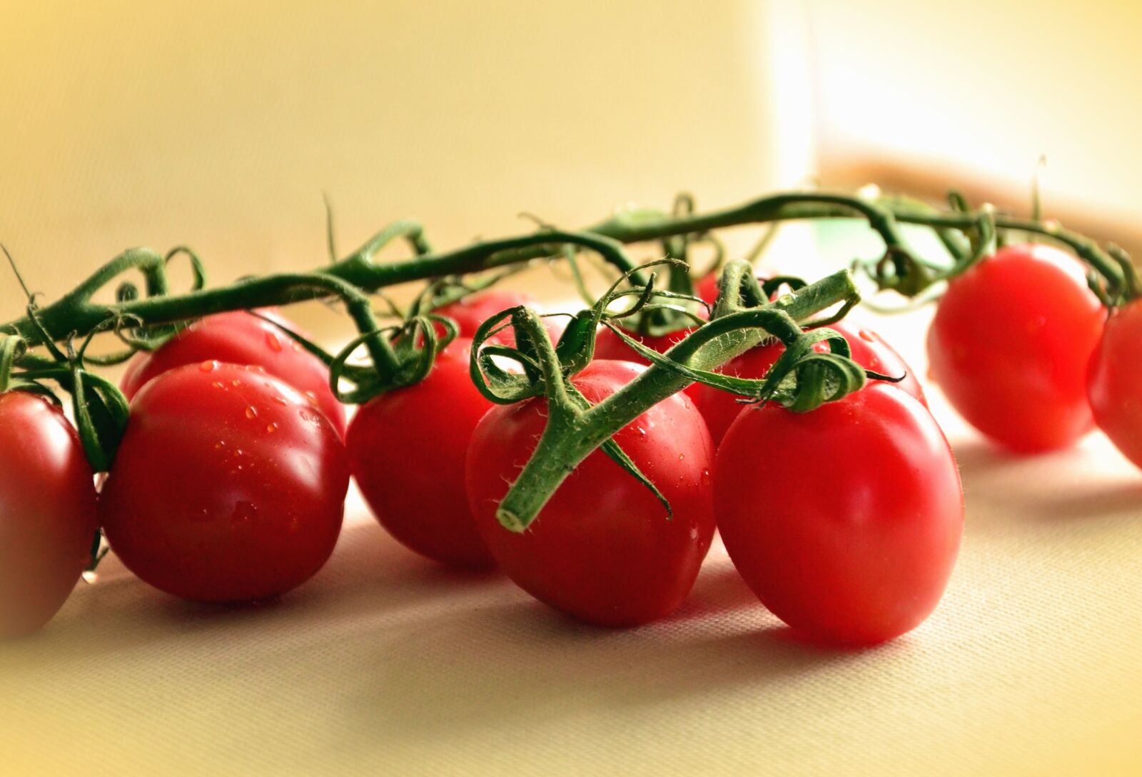 Nikon D5100 sample photo. Tomato, stem, vegetable, food photography
