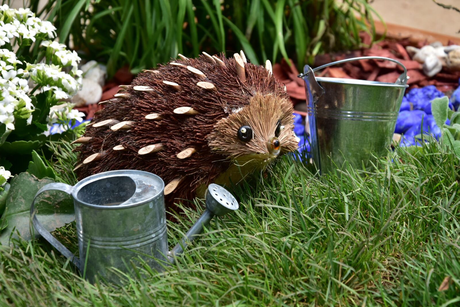 Nikon D7200 sample photo. Model, exhibition, backyard photography
