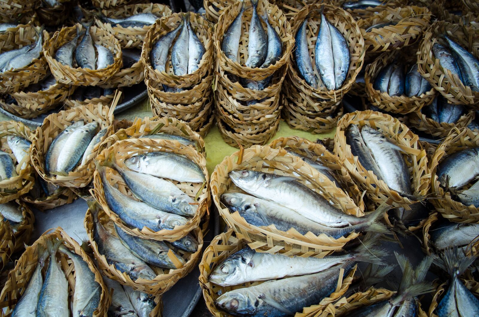 Nikon D7000 sample photo. Fish, market, seafood photography
