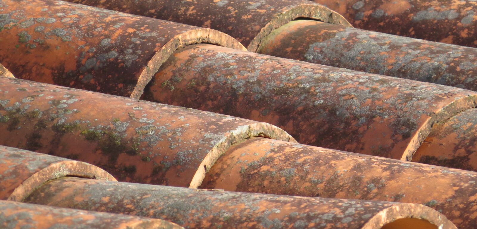 Canon PowerShot SX50 HS sample photo. Nature, approach, roof photography