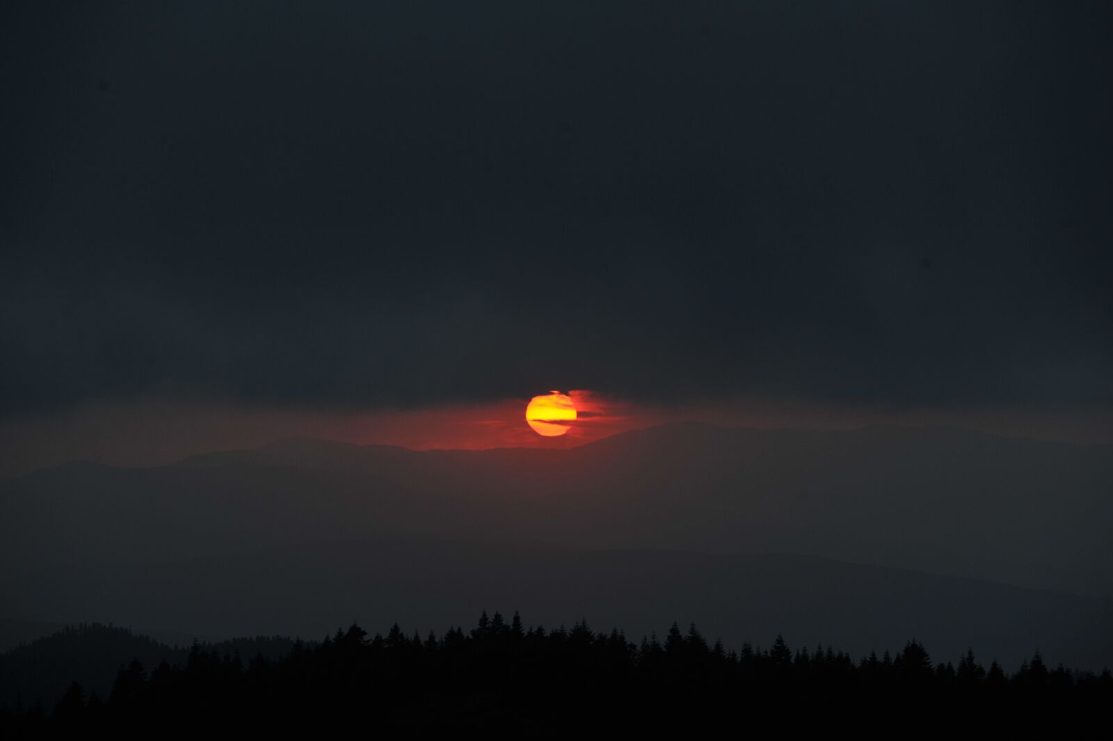 Nikon D3S sample photo. In the evening, nature photography