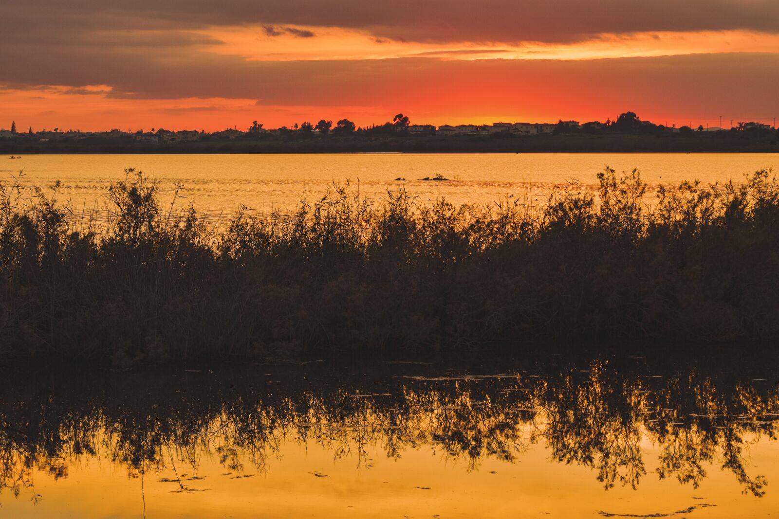 Nikon D3300 sample photo. Lake, sunset, water photography