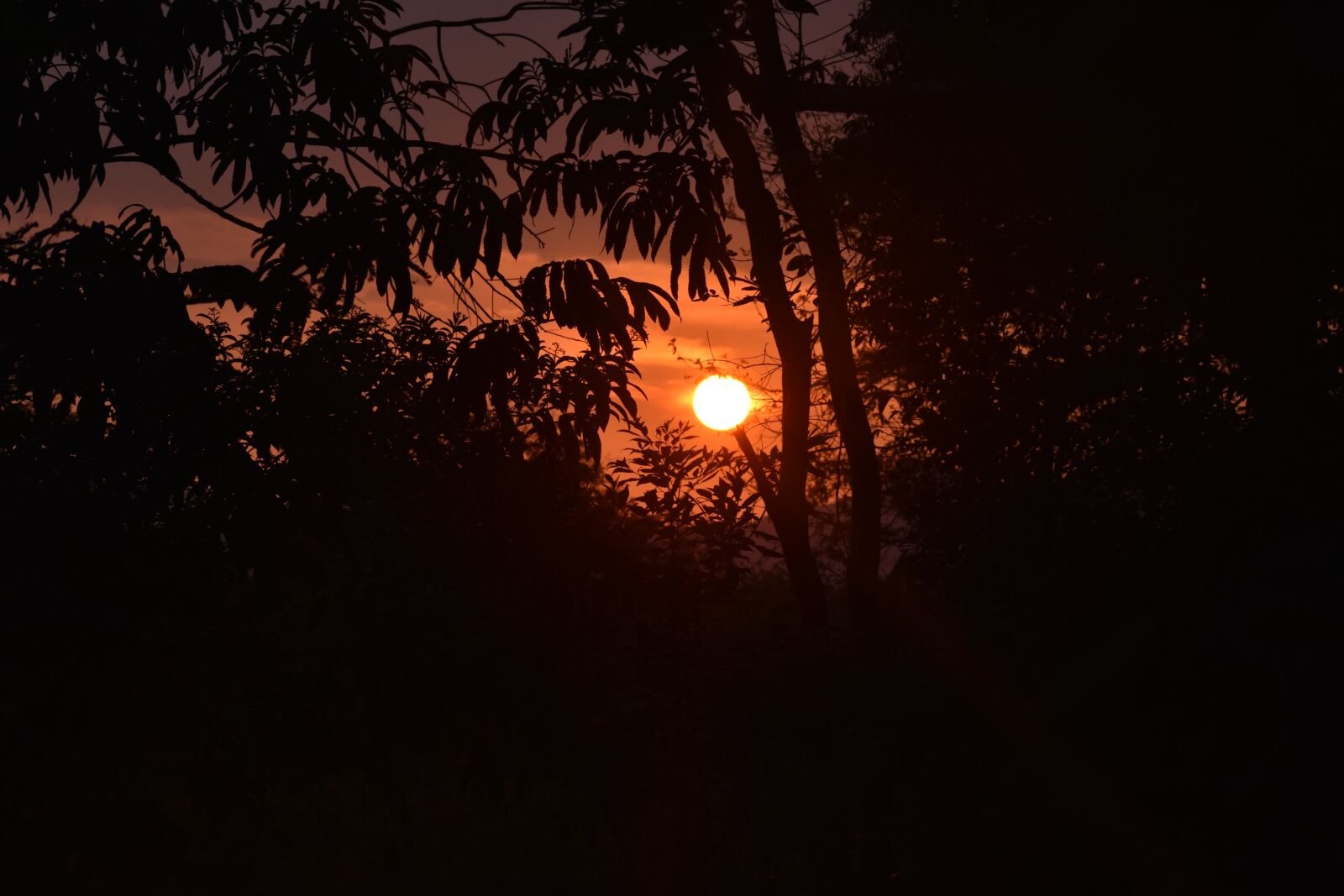 Nikon D3400 sample photo. Sun, landscape, nature photography