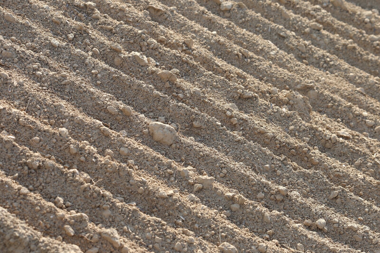 Canon EF 70-300 F4-5.6 IS II USM sample photo. Earth, soil, ground photography
