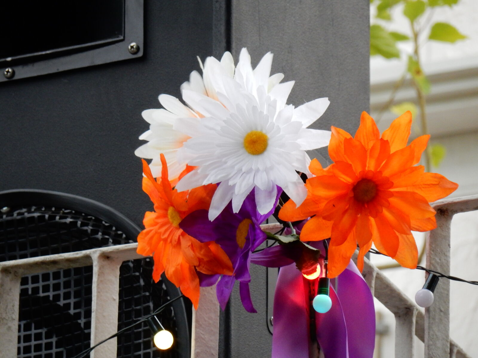 Nikon Coolpix S9900 sample photo. Flower, orange, purple, flowers photography