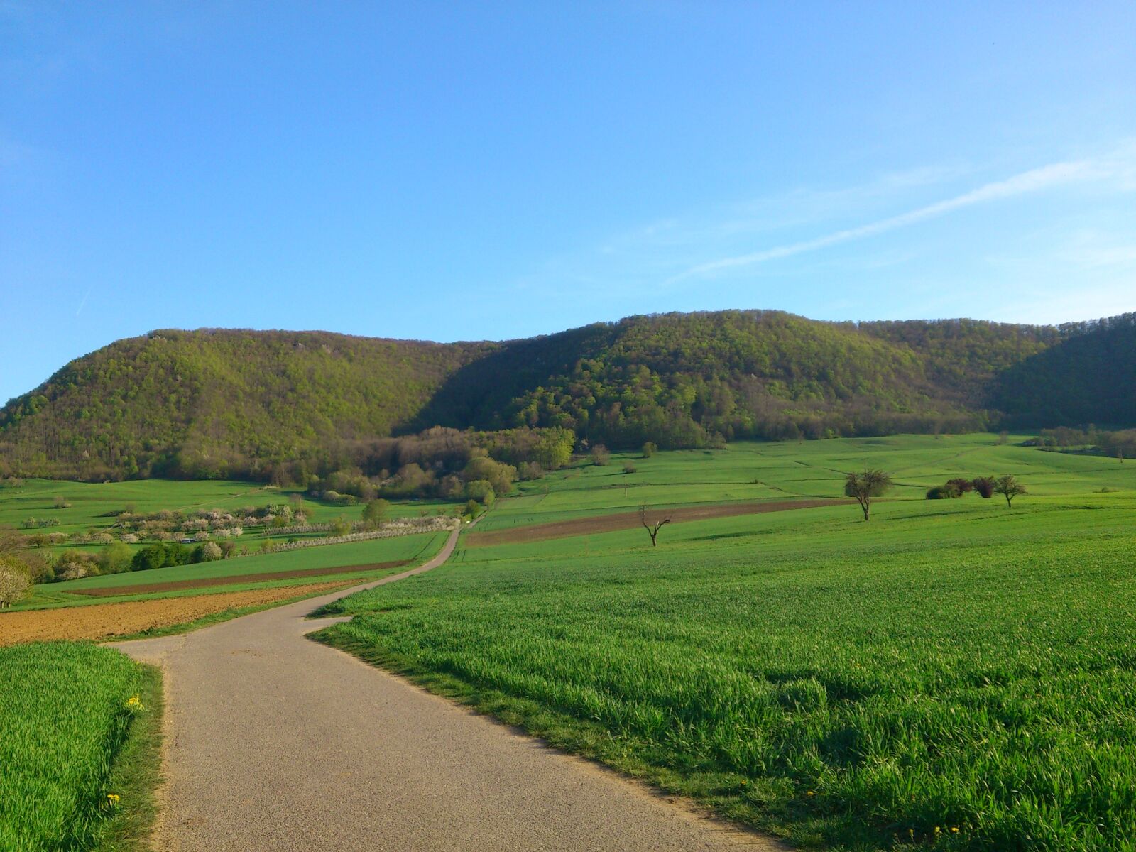 Sony Ericsson Xperia arc S sample photo. Landscape, nature, swabian alb photography