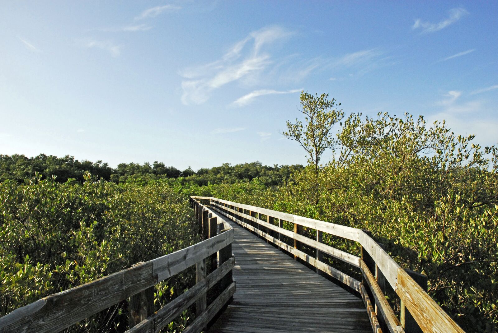 Nikon D200 sample photo. Beach, pathway, nature photography