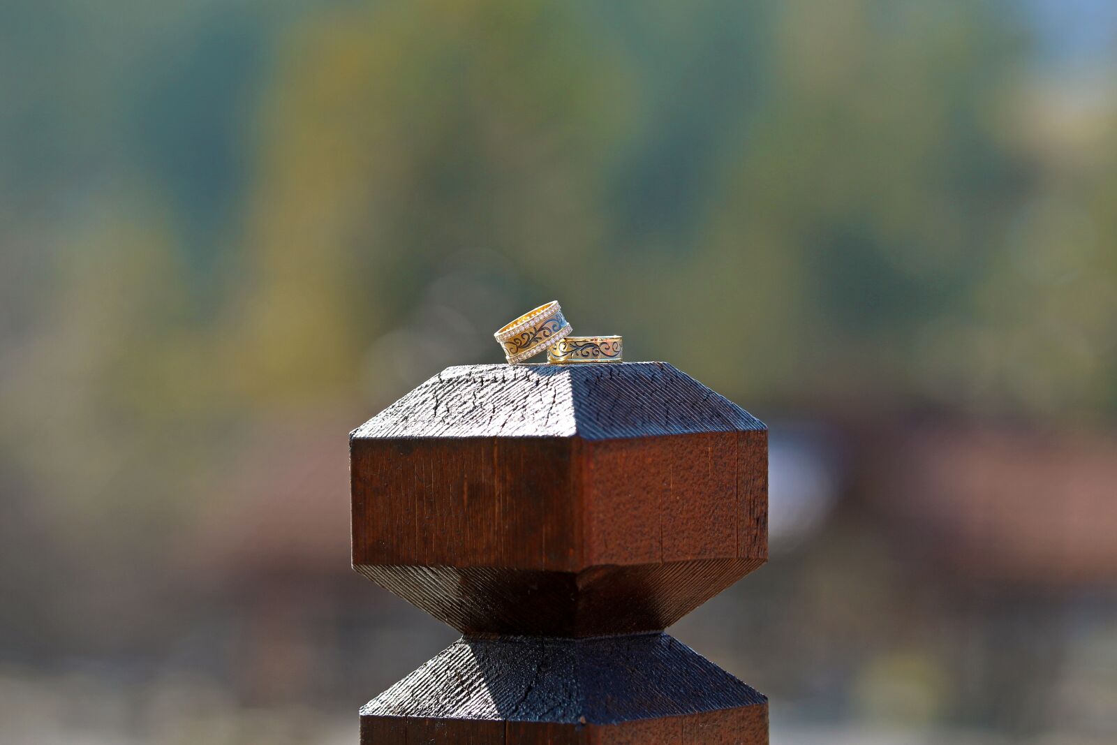 Canon EOS 70D sample photo. Nature, wood-fibre boards, wedding photography