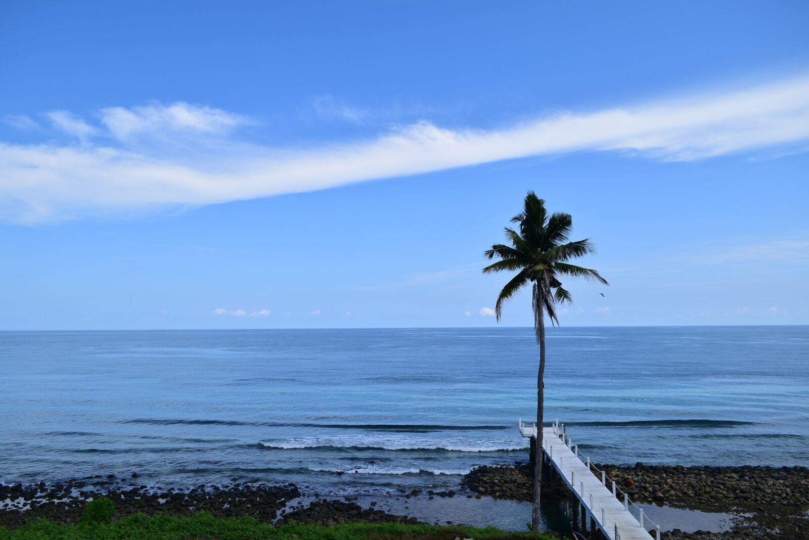 Nikon D3300 sample photo. The sea, coconut trees photography