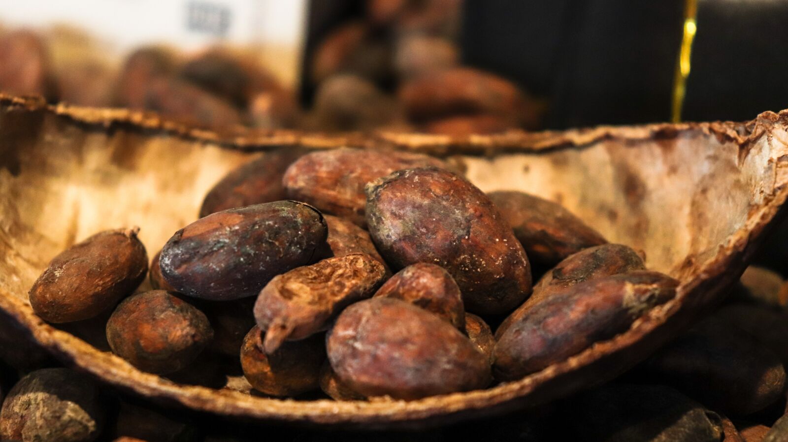 Canon EOS 200D (EOS Rebel SL2 / EOS Kiss X9) sample photo. Cacaobean, cacao, chocolate photography