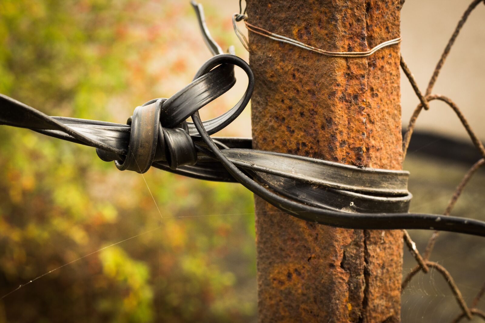 Canon EOS 700D (EOS Rebel T5i / EOS Kiss X7i) sample photo. Fence, wire, bound photography