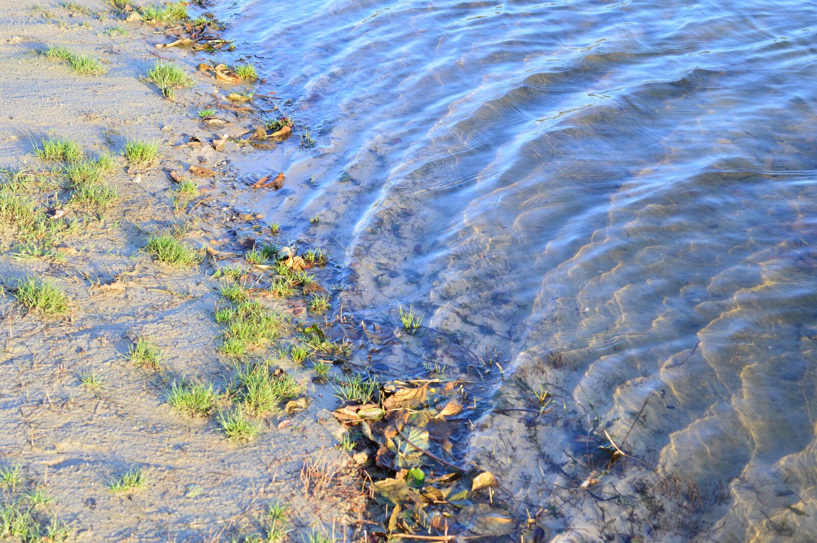 Nikon D3200 sample photo. Water, beach, sand photography