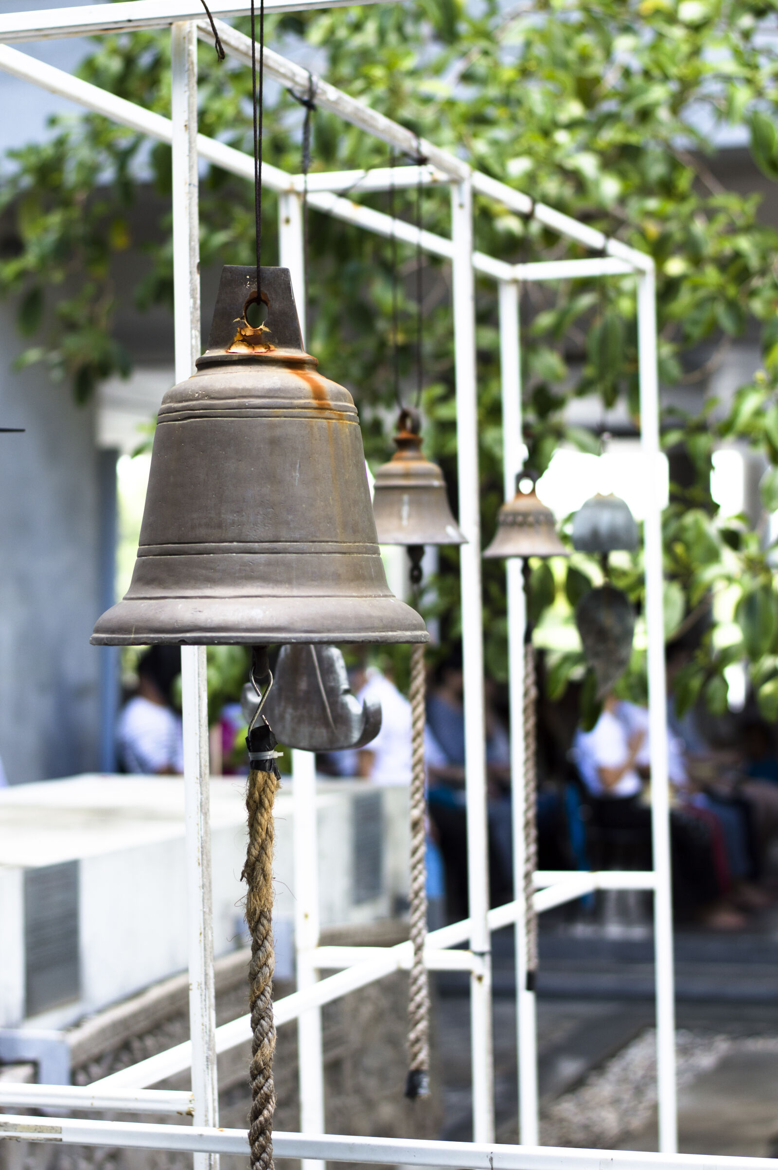 Nikon D3200 + Nikon AF-S Nikkor 50mm F1.8G sample photo. Bell, brown, green, hanging photography