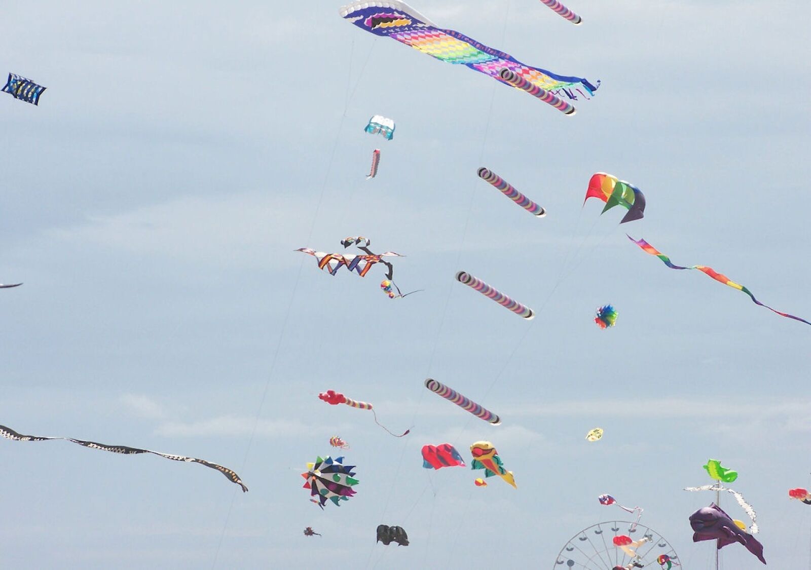 Kodak Z612 ZOOM DIGITAL CAMERA sample photo. Kites, colorful, fun photography