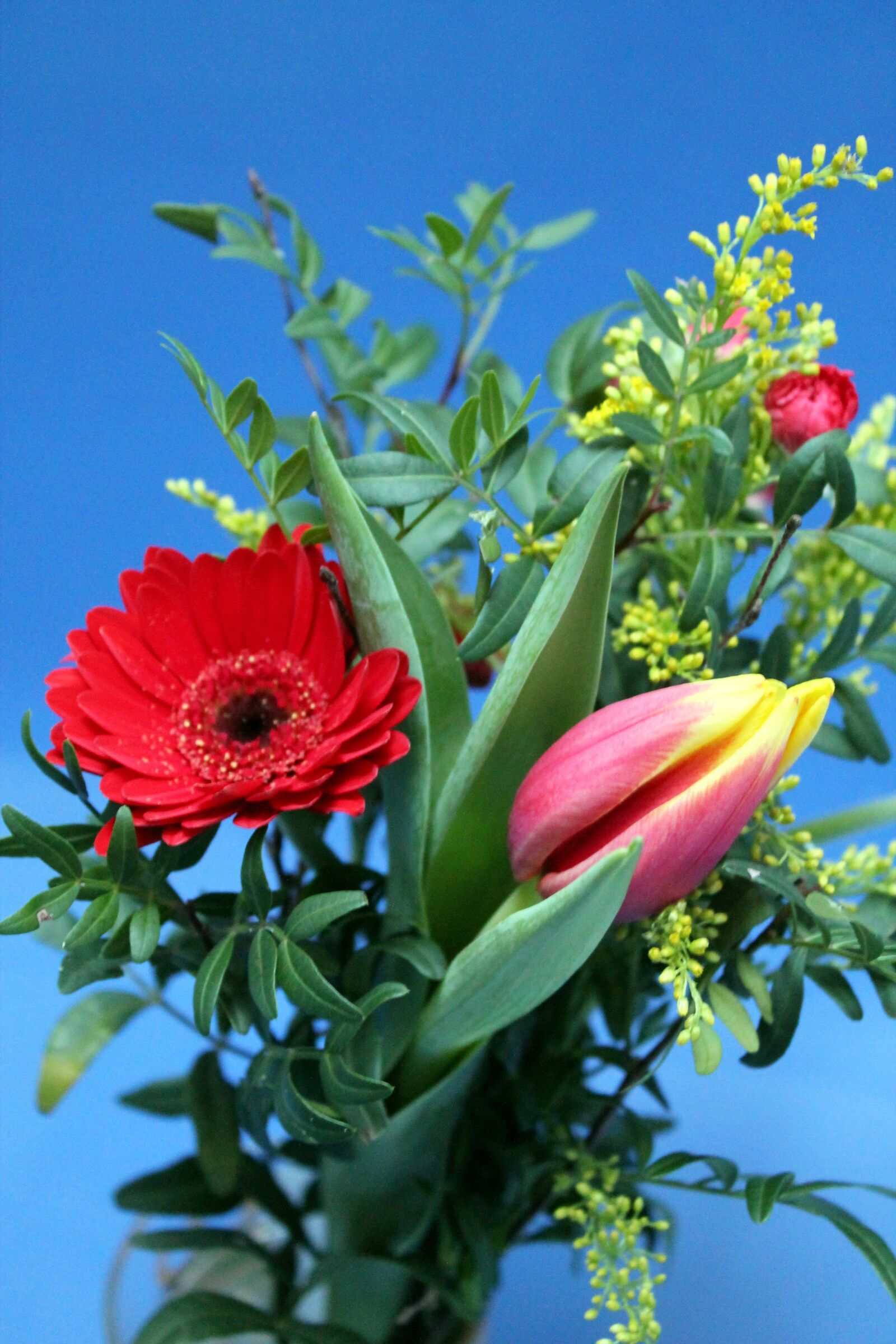 Canon EOS 1100D (EOS Rebel T3 / EOS Kiss X50) sample photo. Bouquet, flowers, flower arrengement photography