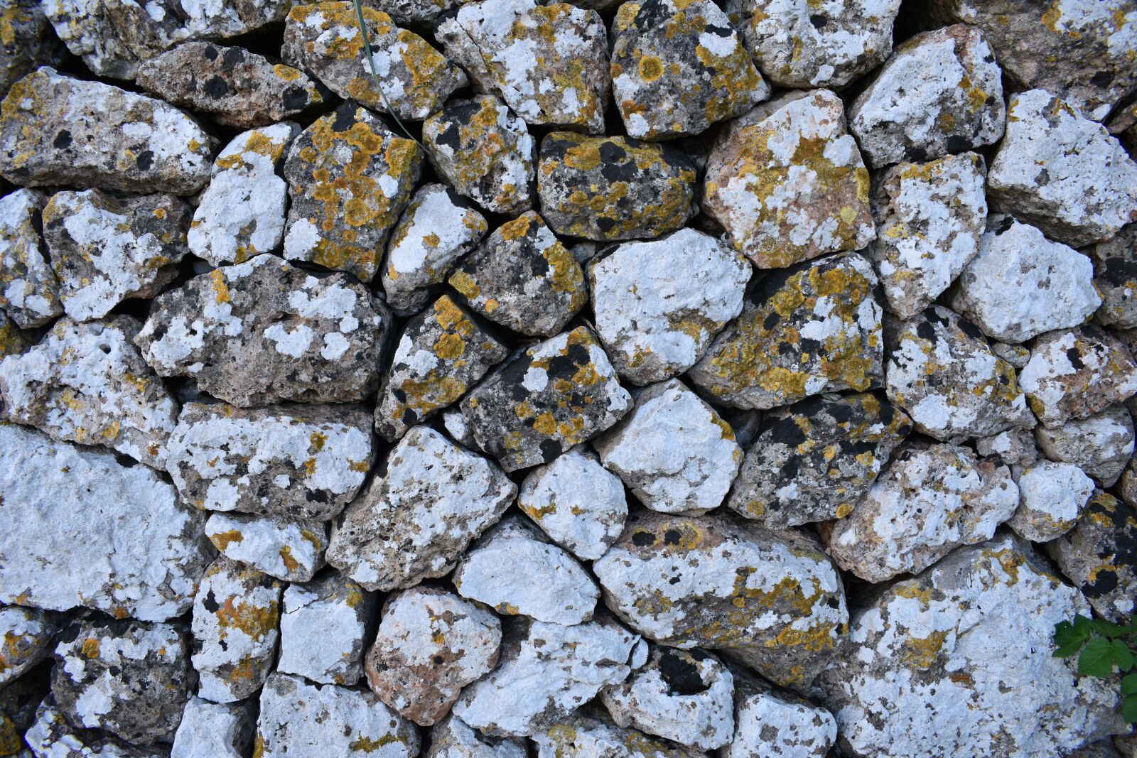 Nikon D3400 sample photo. Stones, lichen, moss photography