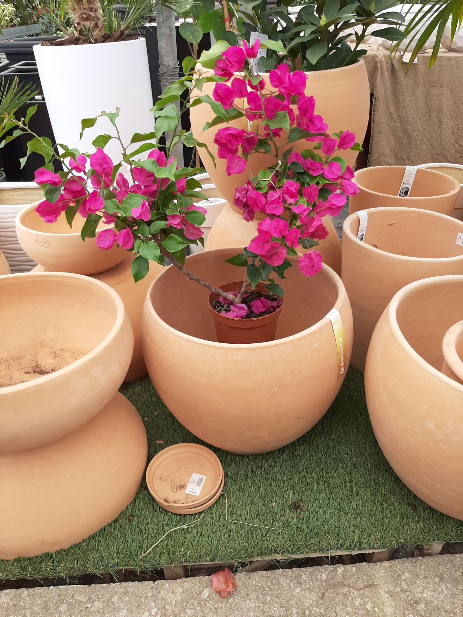 Samsung Galaxy A50 sample photo. Greece, crete, clay bowls photography