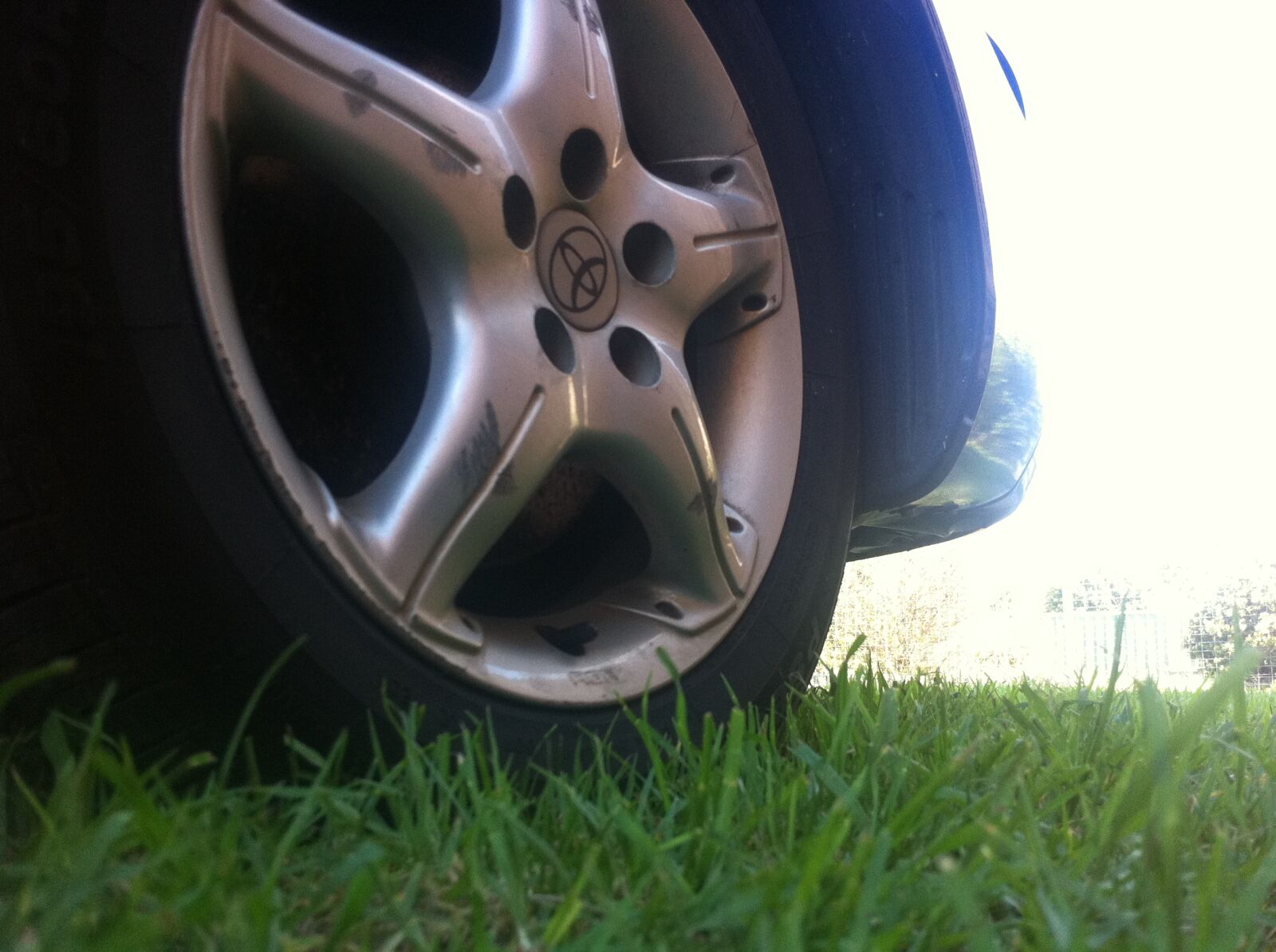 Apple iPhone 4 sample photo. Grass, tyre photography