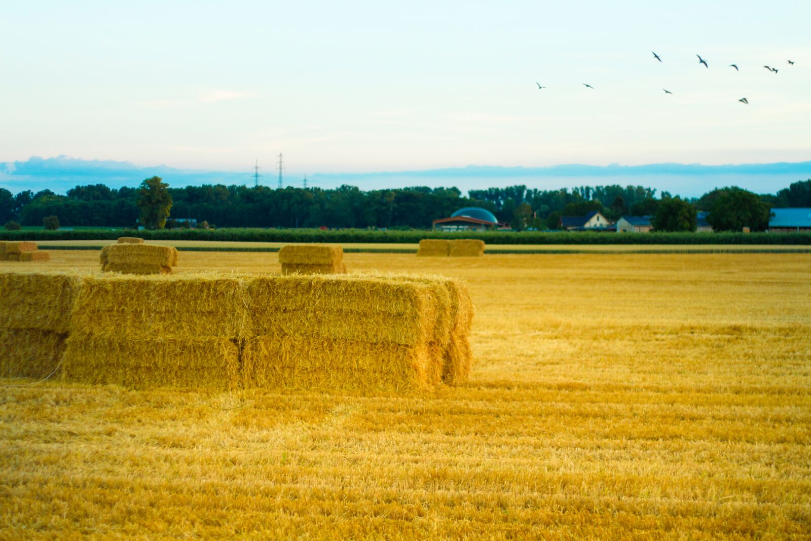 Canon EOS 650D (EOS Rebel T4i / EOS Kiss X6i) + Canon EF 50mm F1.8 II sample photo. Hay, field, agriculture photography