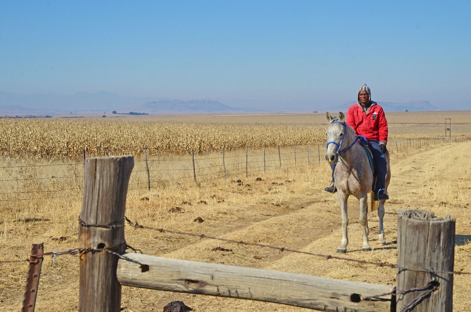 Nikon D7000 sample photo. South africa, horse, rider photography