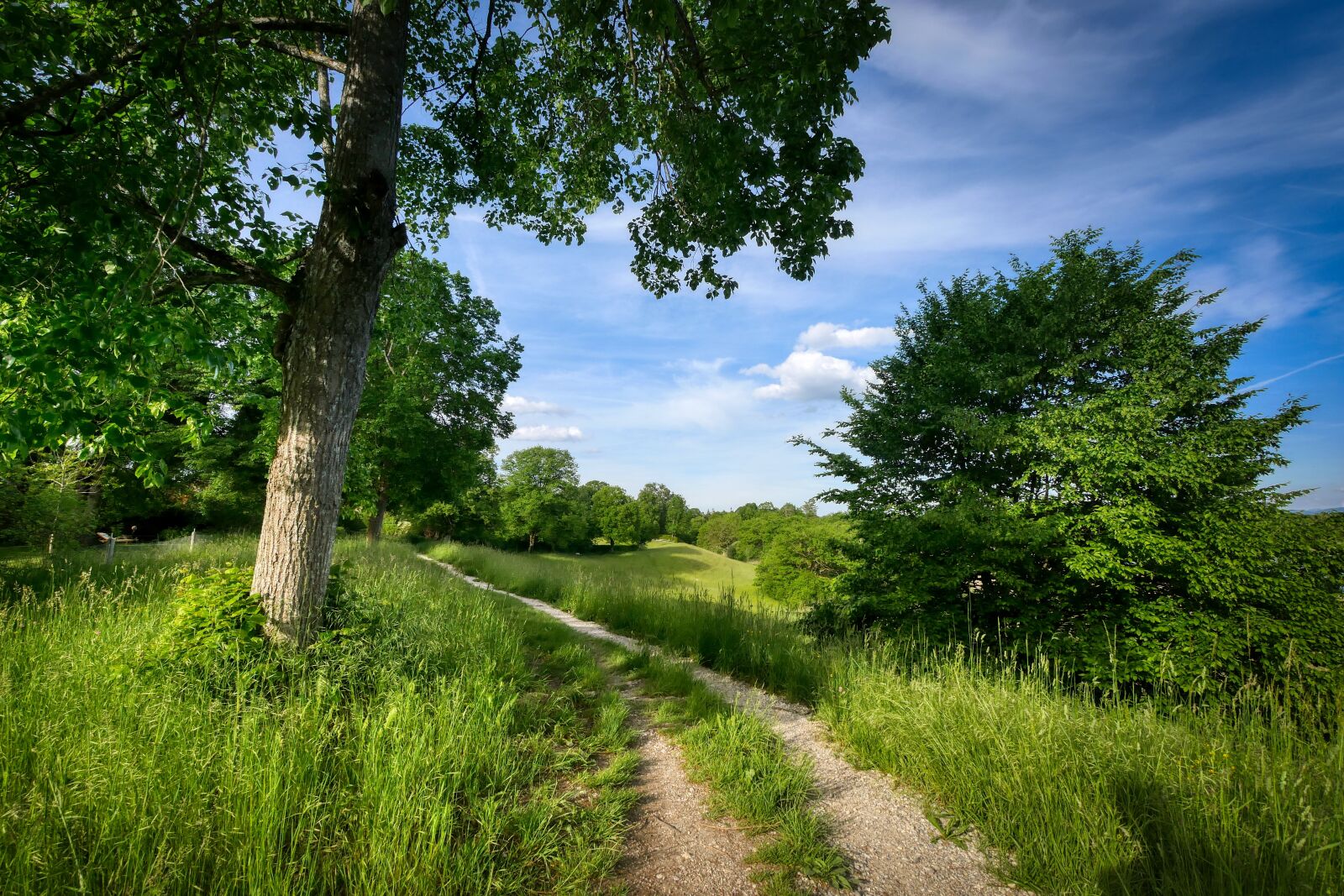 Panasonic Lumix DMC-GX8 sample photo. Away, hiking, nature photography