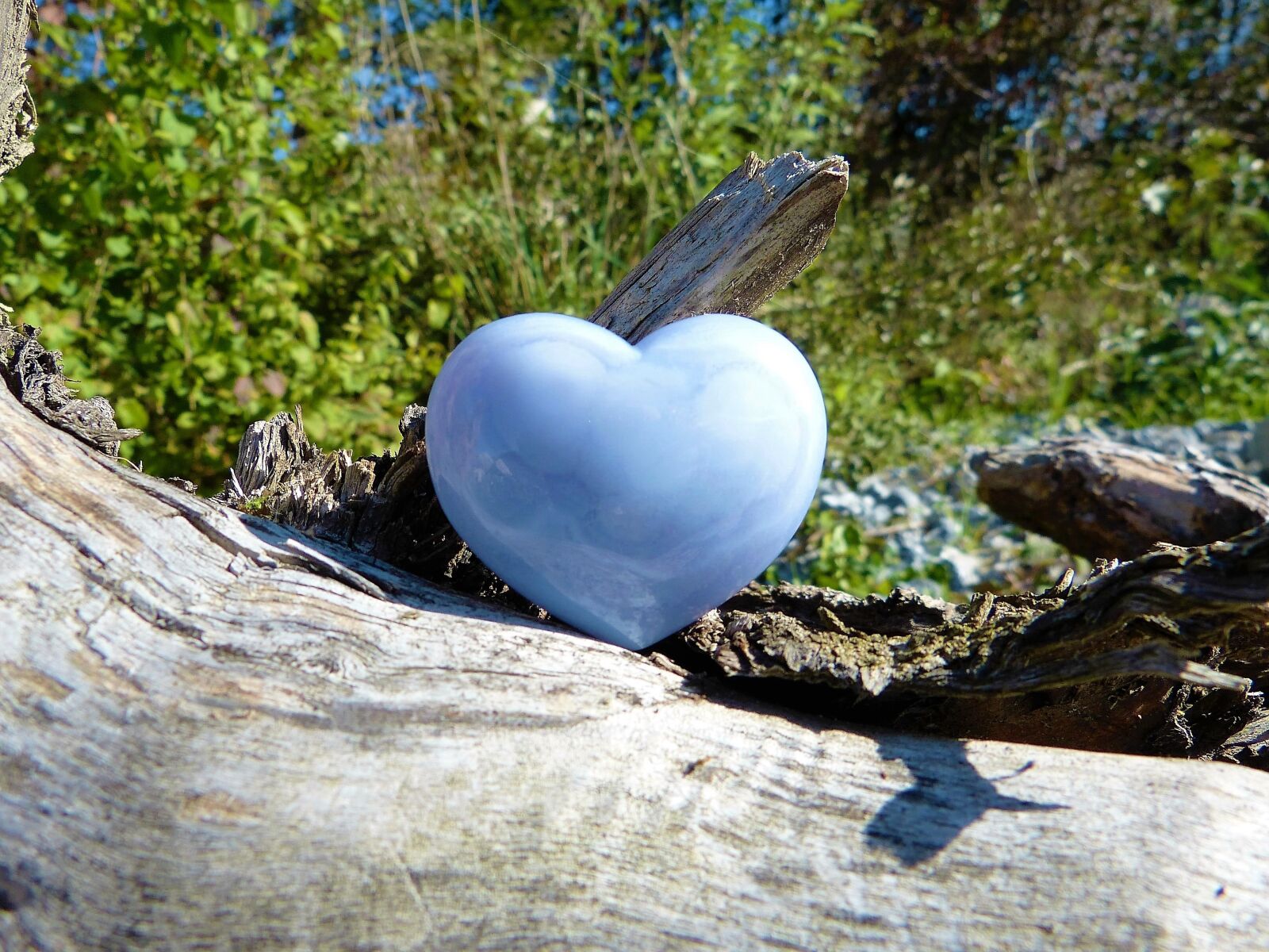 Panasonic Lumix DMC-FZ150 sample photo. Heart, love, nature photography