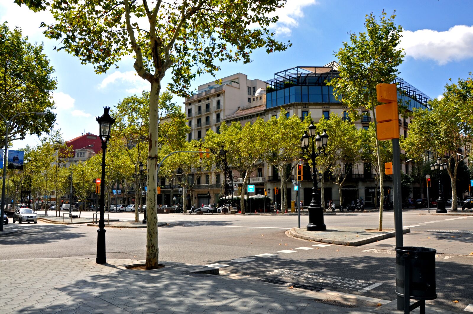 Nikon D90 sample photo. Summer, barcelona, trees photography