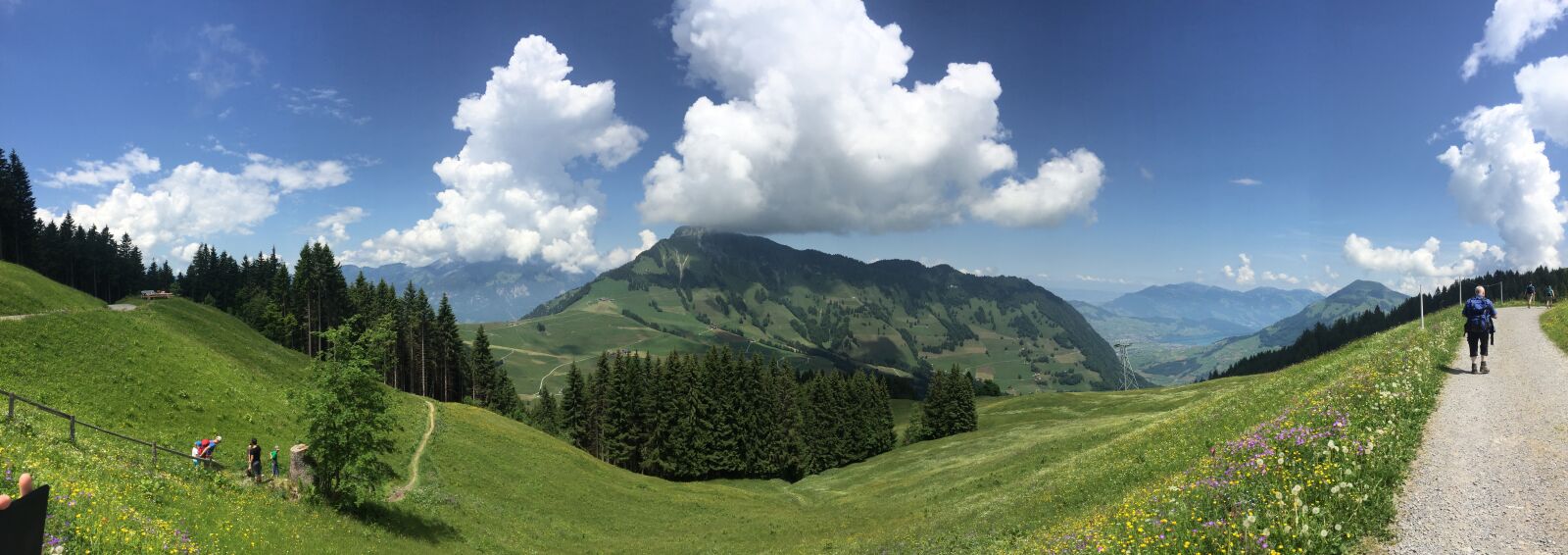 iPhone 6 back camera 4.15mm f/2.2 sample photo. ⁨dallenwil⁩, ⁨nidwalden⁩, ⁨switzerland photography