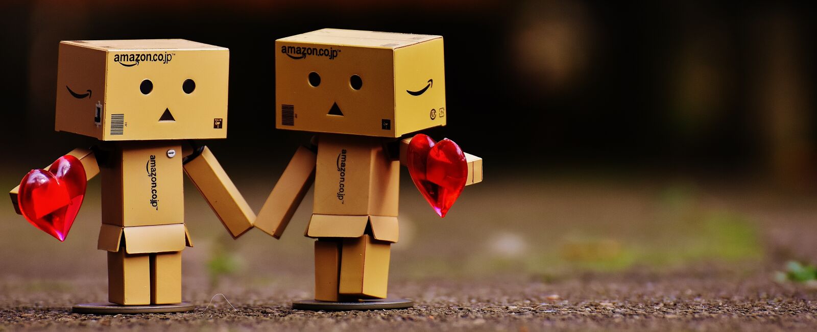 Nikon D7200 sample photo. Danbo, figure, together photography