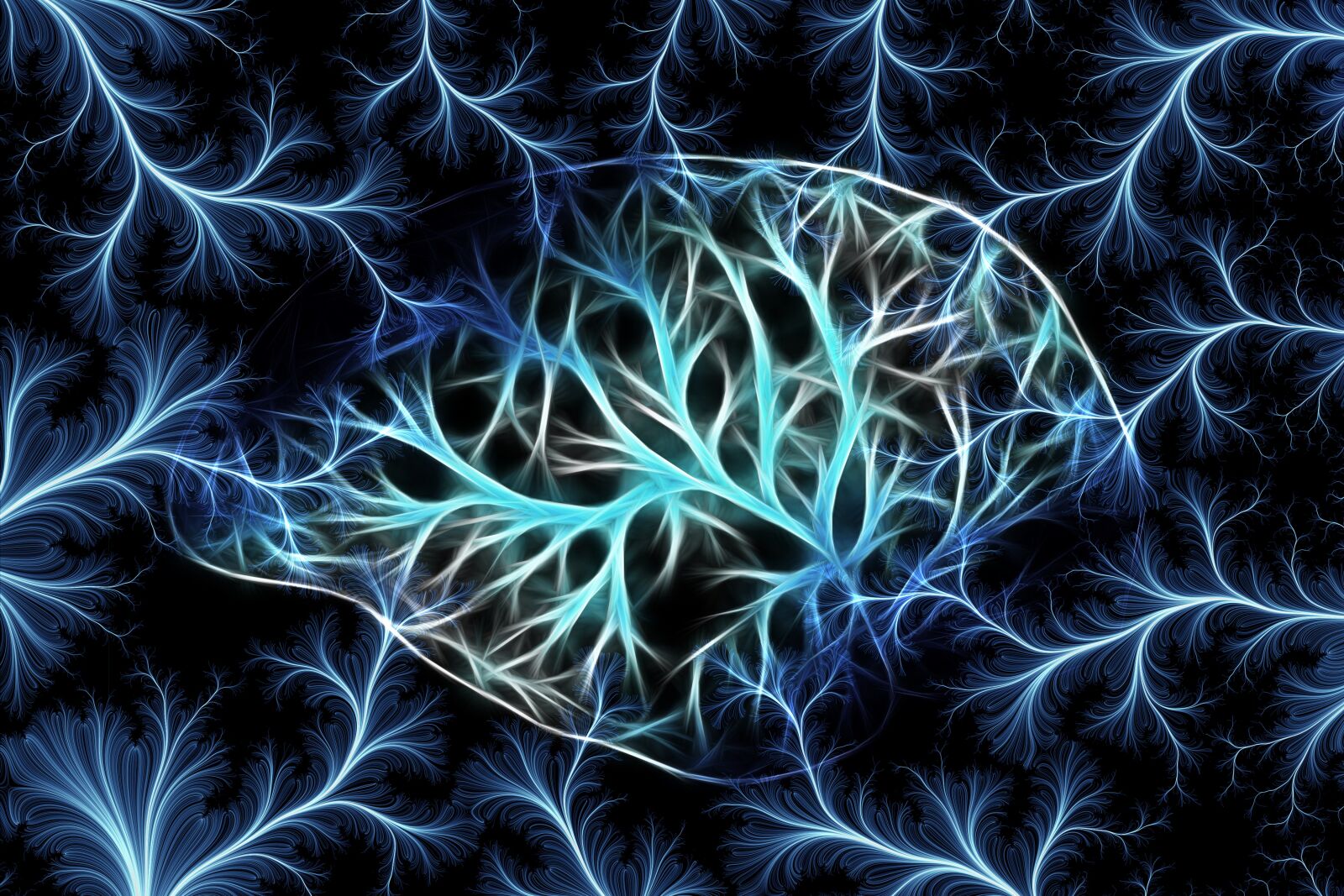 Canon EOS 450D (EOS Rebel XSi / EOS Kiss X2) sample photo. Background, brain, pattern photography